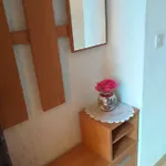 Hrastic Appartement