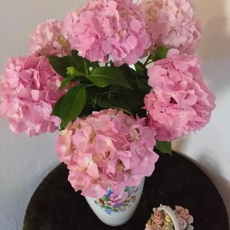 Hrastic Apartman Poreč