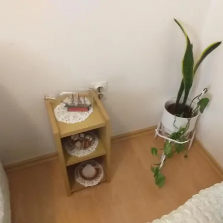Hrastic Apartment