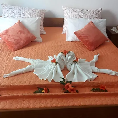 Hrastic Apartament