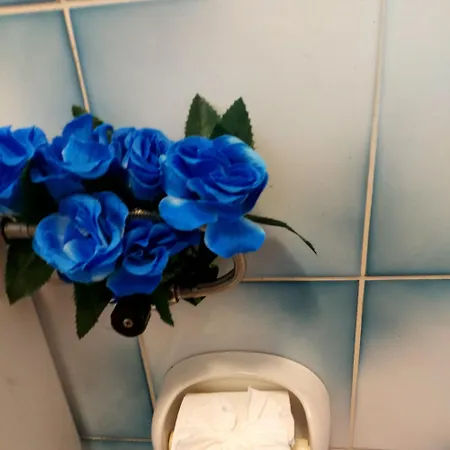 Apartament Hrastic *